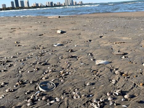 Litter found at Montrose Beach, Chicago (Photo/Grace Brooks)