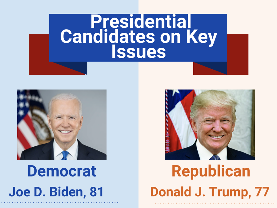 Trump and biden icon