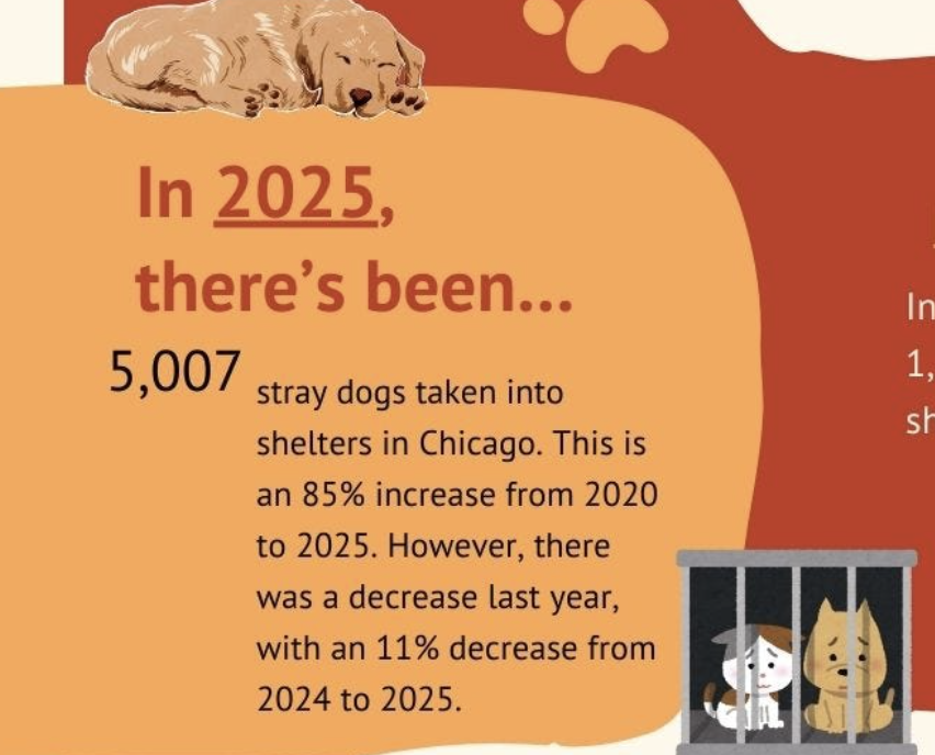 Dog adoption icon. Click for story.