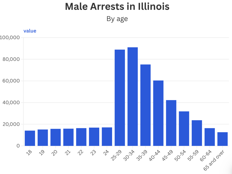 arrest data icon