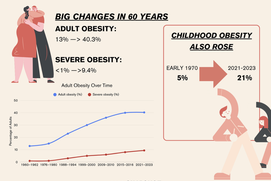obesity icon. click for story